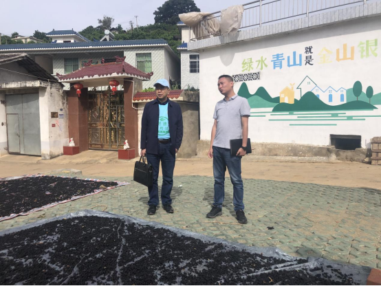 走访渔门镇双龙村